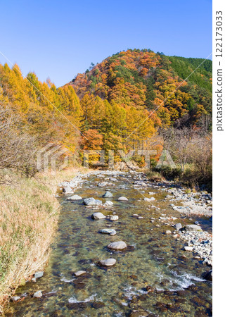 Autumn leaves along the Seseragi Highway (Naradani Bridge, Maze River) (Kiyomi Town, Takayama City, Gifu Prefecture) Autumn leaves along the Seseragi Highway (Naradani Bridge, Maze River) (Kiyomi Town, Takayama City, Gifu Prefecture) 122173033