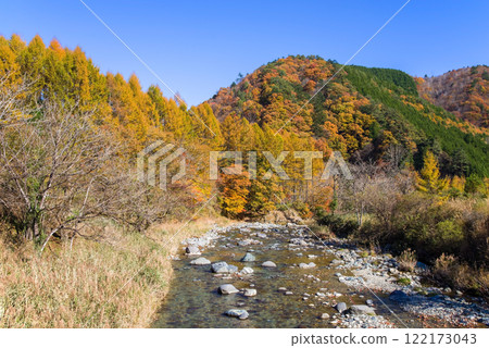 Autumn leaves along the Seseragi Highway (Naradani Bridge, Maze River) (Kiyomi Town, Takayama City, Gifu Prefecture) Autumn leaves along the Seseragi Highway (Naradani Bridge, Maze River) (Kiyomi Town, Takayama City, Gifu Prefecture) 122173043