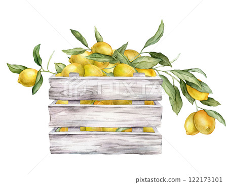 Wooden crate with fresh lemons. Farmer's market, healthy eating or tropical fruits theme with Citrus branches. Hand drawn watercolor illustration isolated on white background. 122173101