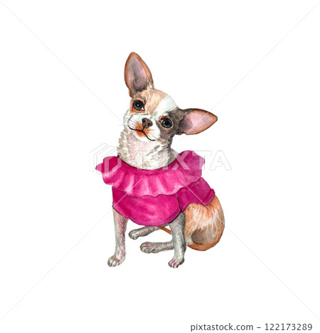 Chihuahua. Pink Portrait small dog. Watercolor hand drawn illustration Chihuahua. Pink Portrait small dog. Watercolor hand drawn illustration 122173289