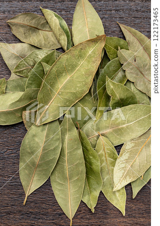 Leaves of Laurie 122173465
