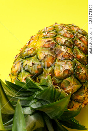 黃色背景上的菠蘿 122173503