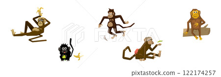 Different Monkey Animal with Long Tail Vector Set 122174257