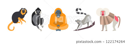 Different Monkey Animal with Long Tail Vector Set 122174264
