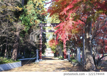 Ohmae惠比壽神社 Ohmae惠比壽神社 122174444