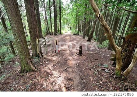 A view of the main citadel from the foot of the Kanayama Castle in Tanba, built by Akechi Mitsuhide A view of the main citadel from the foot of the Kanayama Castle in Tanba, built by Akechi Mitsuhide 122175096