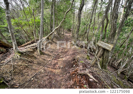 A view of the main citadel from the foot of the Kanayama Castle in Tanba, built by Akechi Mitsuhide 122175098