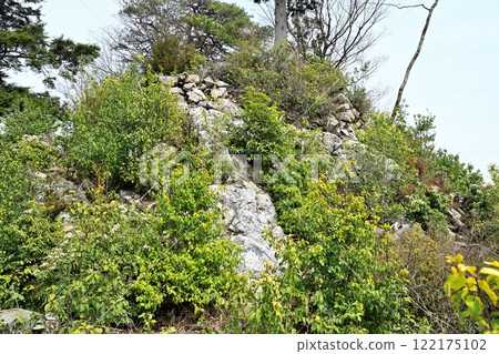A view of the main citadel from the foot of the Kanayama Castle in Tanba, built by Akechi Mitsuhide 122175102