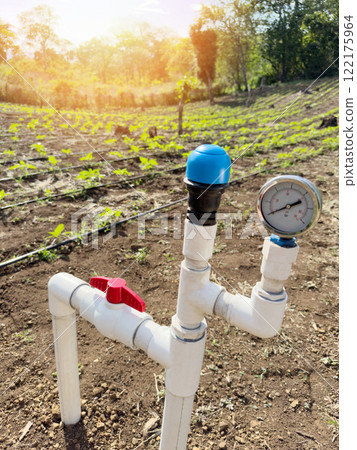Water pump irriagtion agriculture 122175964