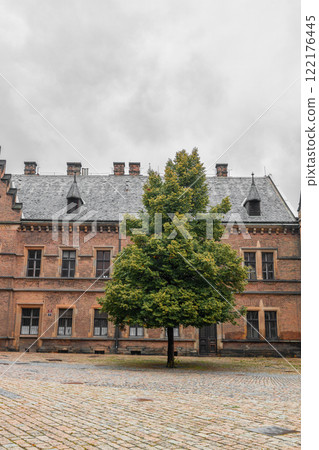 A huge green tree grows among touristic old buildings in the old town of Prague, Czech Republic 122176445