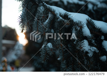 Beautiful winter landscape with snow covered trees.Merry Christmas and happy New Year greeting background with copy-space.  122176479