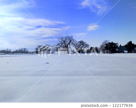 Large zelkova trees in Takase, Aizuwakamatsu City, Fukushima Prefecture 122177636