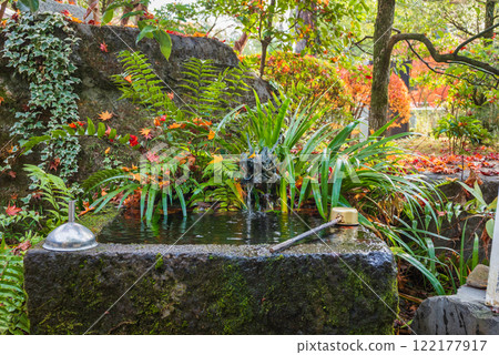 [武田神社]公主井的水[辻崎館遺址] 122177917