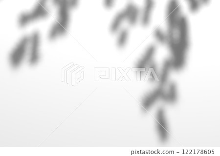 Tree branch shadow. Tree leaves shadow overlay. Summer sunlight trough the leaves. Nature organic shadow. Blurred Leaf shadow and light on wall background. 3d rendering Tree branch shadow. Tree leaves shadow overlay. Summer sunlight trough the leaves. Nature organic shadow. Blurred Leaf shadow and light on wall background. 3d rendering 122178605