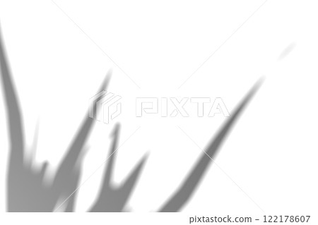 Fern branch shadow. Leaf shadow overlay. Sunlight trough the leaf. Nature organic shadow. Blurred Leaf shadow and light on wall background. 3d rendering 122178607