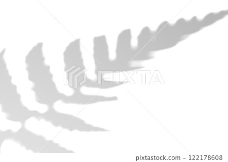 Fern branch shadow. Leaf shadow overlay. Sunlight trough the leaf. Nature organic shadow. Blurred Leaf shadow and light on wall background. 3d rendering Fern branch shadow. Leaf shadow overlay. Sunlight trough the leaf. Nature organic shadow. Blurred Leaf shadow and light on wall background. 3d rendering 122178608