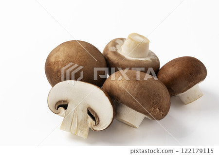 white back brown mushroom white back brown mushroom 122179115
