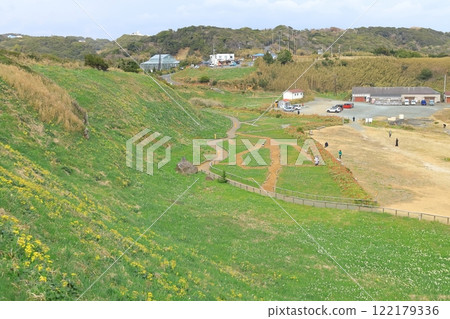 Izu, Shizuoka Prefecture "Shimoda Tsumekizaki Daffodil Festival" 122179336