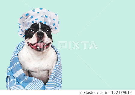 Cute puppy, shower cap and blue towel 122179612