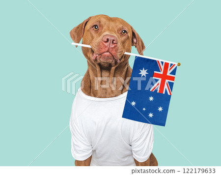 Lovable, charming dog and Australian Flag. Studio shot 122179633