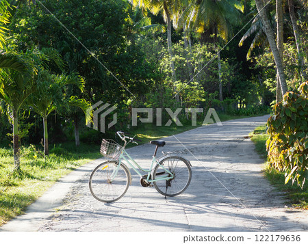 Vintage bicycle against palm trees background. No people Vintage bicycle against palm trees background. No people 122179636