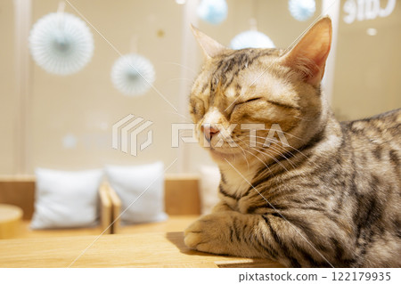 Surrounded by gentle light 122179935