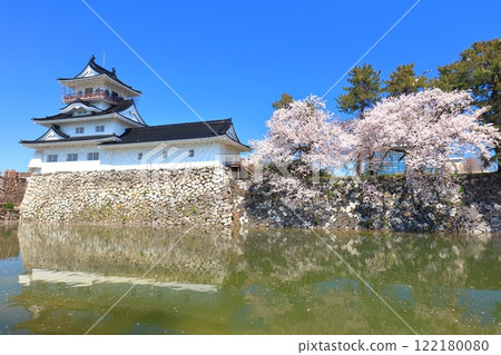 [Toyama Prefecture] Toyama Castle tower and cherry blossoms in full bloom on a clear day 122180080