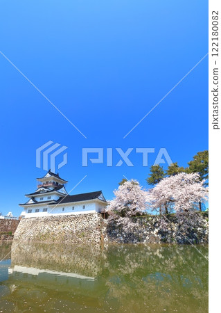 [富山縣] 晴天時富山城天守閣和盛開的櫻花 122180082