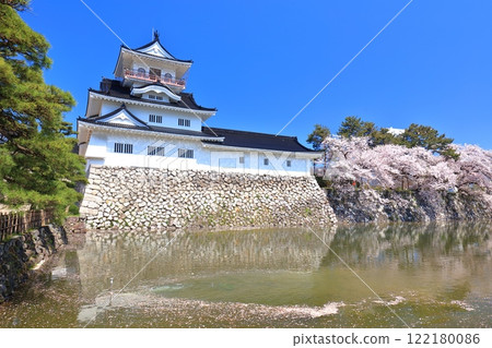 [Toyama Prefecture] Toyama Castle tower and cherry blossoms in full bloom on a clear day 122180086