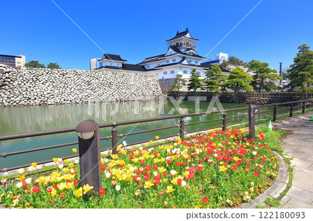 [Toyama Prefecture] Toyama Castle tower on a clear day with cherry blossoms and tulips in full bloom 122180093