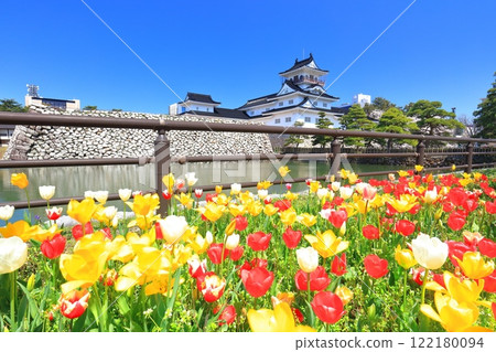 【富山縣】晴空萬裡的富山城天守閣、櫻花、鬱金香盛開 【富山縣】晴空萬裡的富山城天守閣、櫻花、鬱金香盛開 122180094