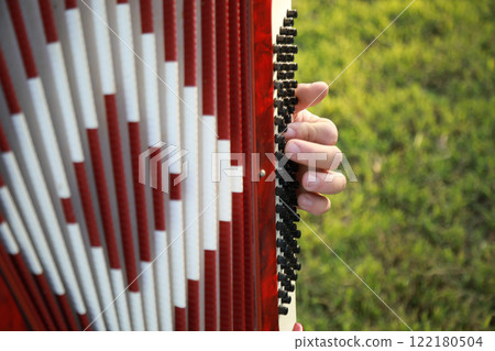 Hands Of A Professional Player On The Accordion Buttons 122180504