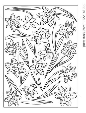 Line art illustration of daffodils for coloring Line art illustration of daffodils for coloring 122181020
