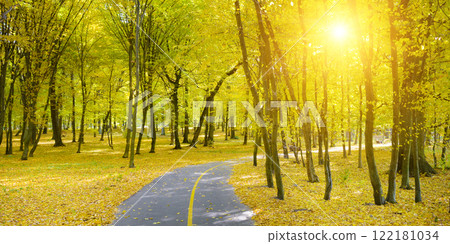 Autumn park and fallen leaves illuminated sun 122181034