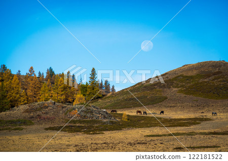 Scenic autumn landscape of Altai hills with grazing horses and moon above 122181522