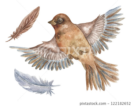 Watercolor bird jay with wings. In vintage style. Realistic illustration of a spring bird in flight with feathers. Bird Day. 122182652