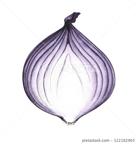 Onions in the cut. Hand-drawn watercolor illustration. An image of a purple vegetable. Highlighted from the background. Perfect for menus, recipe books, packages, labels, and more. 122182903