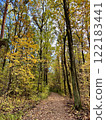 forest of golden autumn showing the beauty of fall foliage, through which a dirt road passes, leaves on trees are painted in vibrant colors 122183441