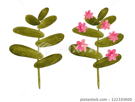 Watercolor plants. Green flowering tropical plants. Succulents in the desert. Summer and flowering plants. Cartoon style illustration 122183600