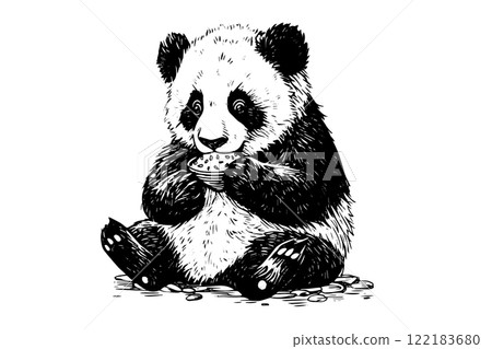 Panda hand drawn ink sketch. Engraved style vector illustration. 122183680