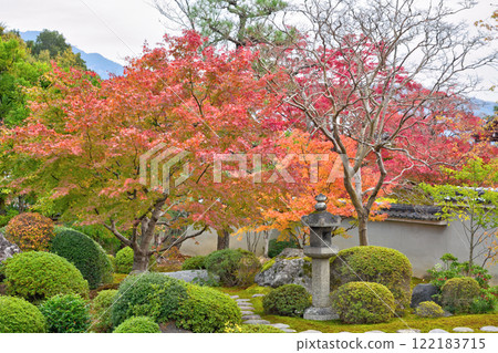 Autumn leaves at Myomanji Temple 122183715