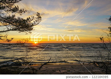 Sunrise on the Baltic Sea coast with tree trunks washed away by coastal erosion in the foreground Sunrise on the Baltic Sea coast with tree trunks washed away by coastal erosion in the foreground 122184395