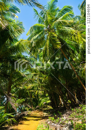 Hiking trail the coast of Saint Joseph Island, one of Salvation Islands in French Guiana, South America 122184694