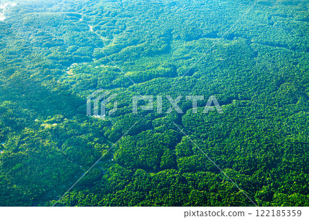 Aerial view of the Amazon rainforest near Kaieteur Falls in Guyana, South America 122185359