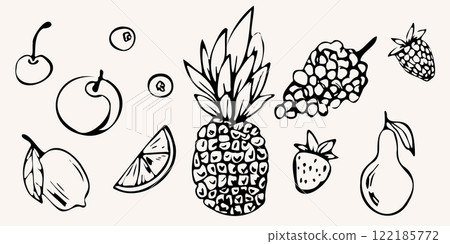 Hand drawn vector set with fruits. pineapple, lemon, pear, cherry and grapes in whimsical line art style. Monochrome illustration for menu, design prints, packaging, posters, and invitations 122185772