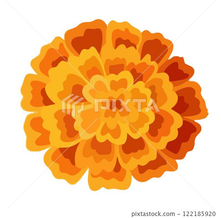 One yellow orange marigold. Floral decoration for Indian floral festive garland toran. Zendu flower isolated on background. Diwali, Halloween Dia de los Muertos holiday celebration. Vector 122185920