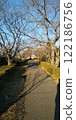 冬櫻花路 122186756