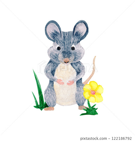 Watercolor composition of mouse character and grass with flower. Botanical drawing on isolated background. For your design Watercolor composition of mouse character and grass with flower. Botanical drawing on isolated background. For your design 122186792