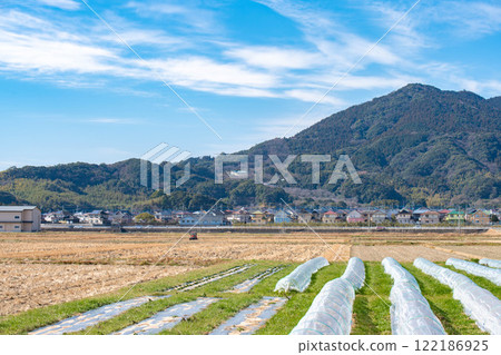 從田野看山景 122186925