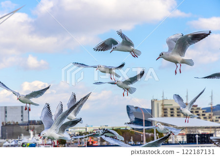 Kobe Meriken Park (December daytime and night view) 122187131